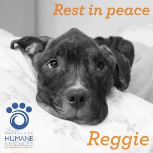 Meet your Posher, Joann